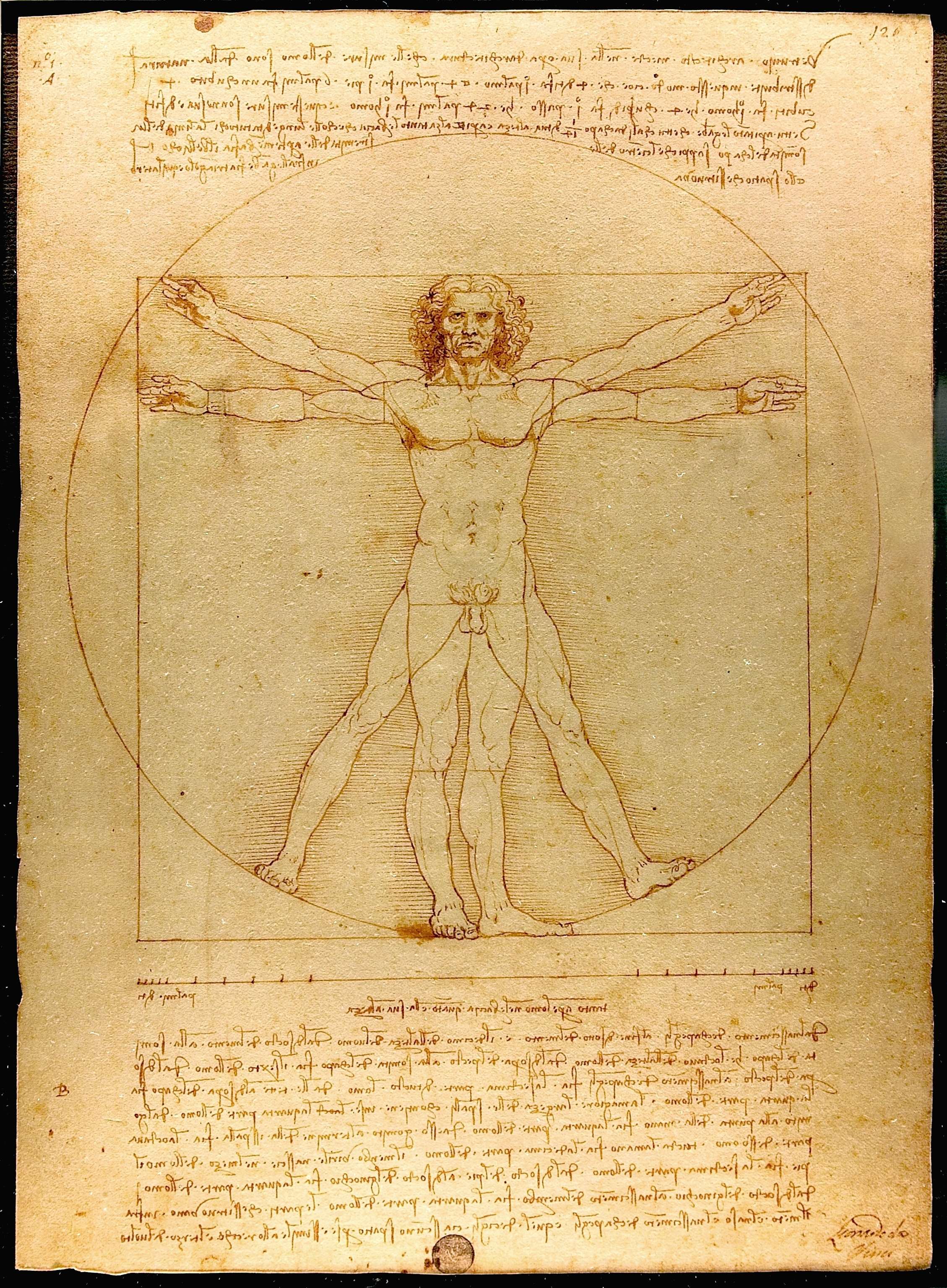 Uomo Vitruviano di Leonardo da Vinci, nei colori originali